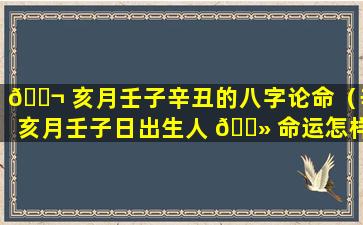 🐬 亥月壬子辛丑的八字论命（辛亥月壬子日出生人 🌻 命运怎样）